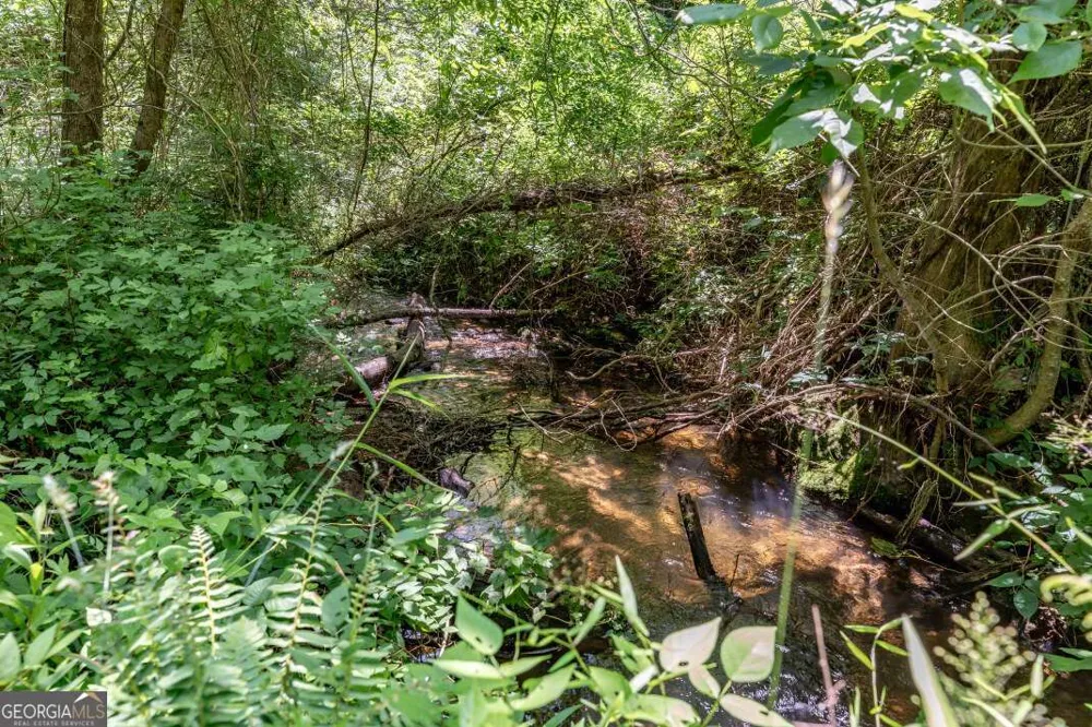 26.18 AC Green RD Young Harris, GA 30582