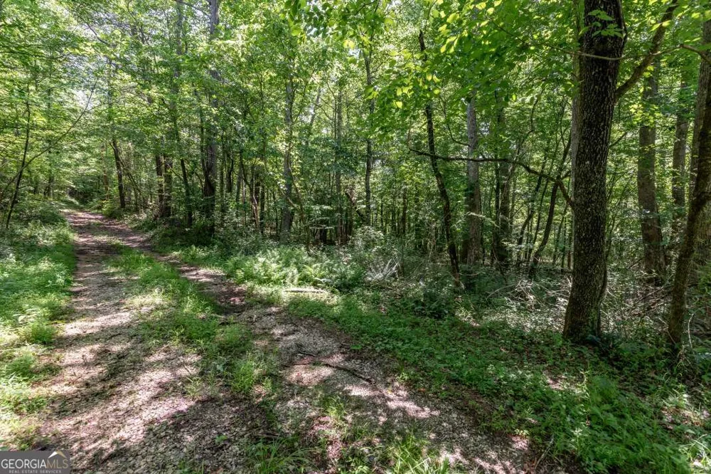 26.18 AC Green RD Young Harris, GA 30582