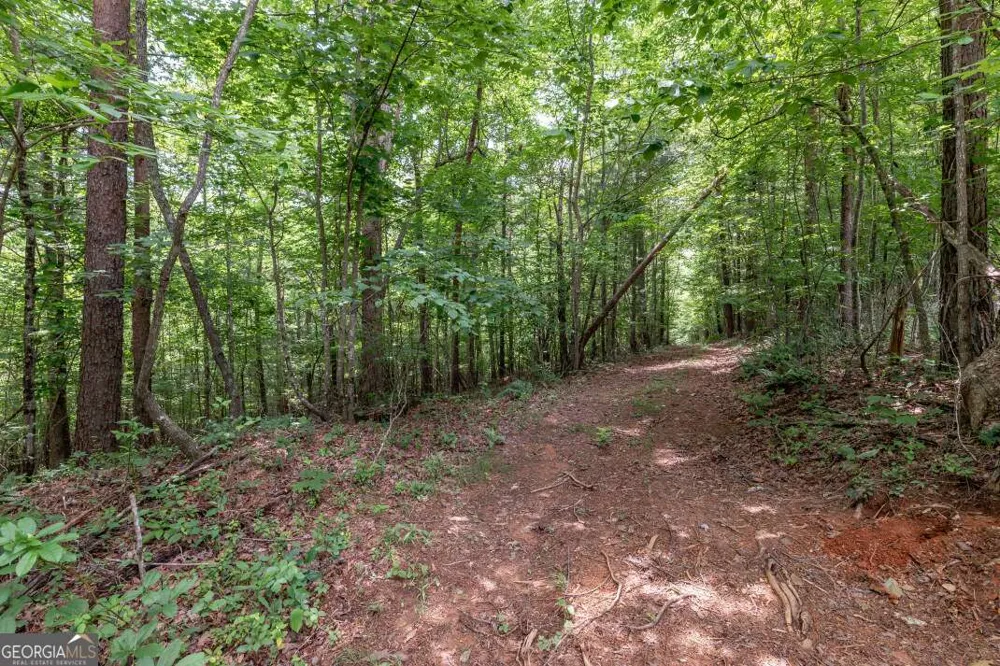 26.18 AC Green RD Young Harris, GA 30582
