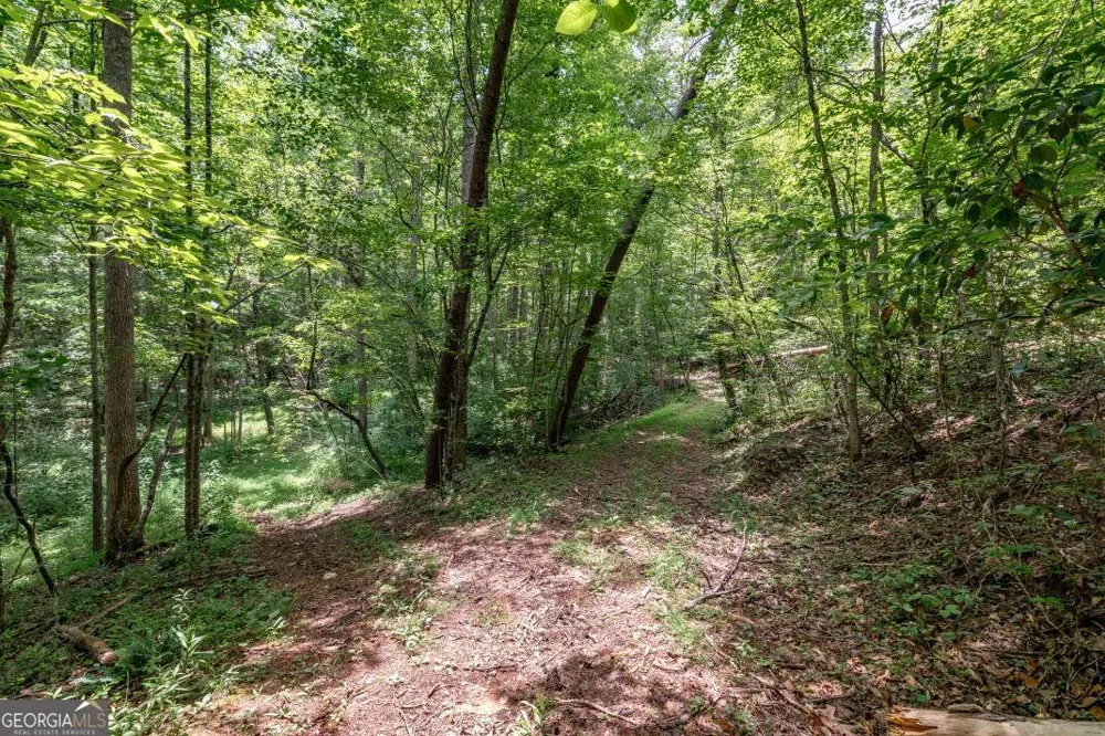 26.18 AC Green RD Young Harris, GA 30582