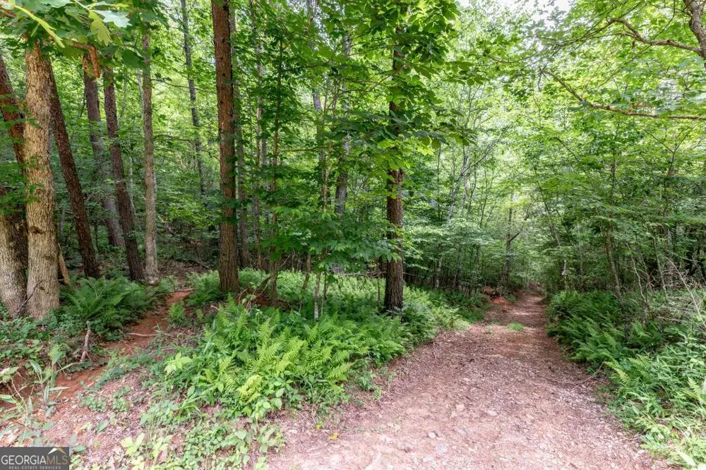 26.18 AC Green RD Young Harris, GA 30582