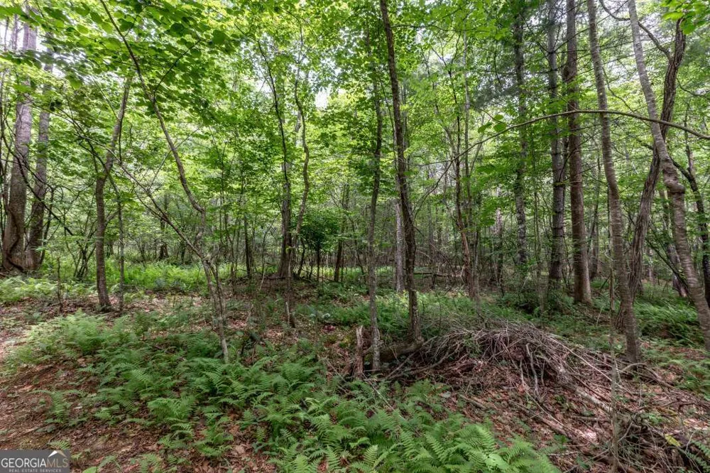 26.18 AC Green RD Young Harris, GA 30582