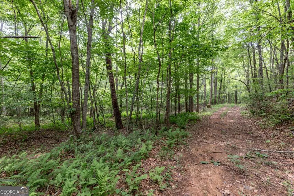 26.18 AC Green RD Young Harris, GA 30582