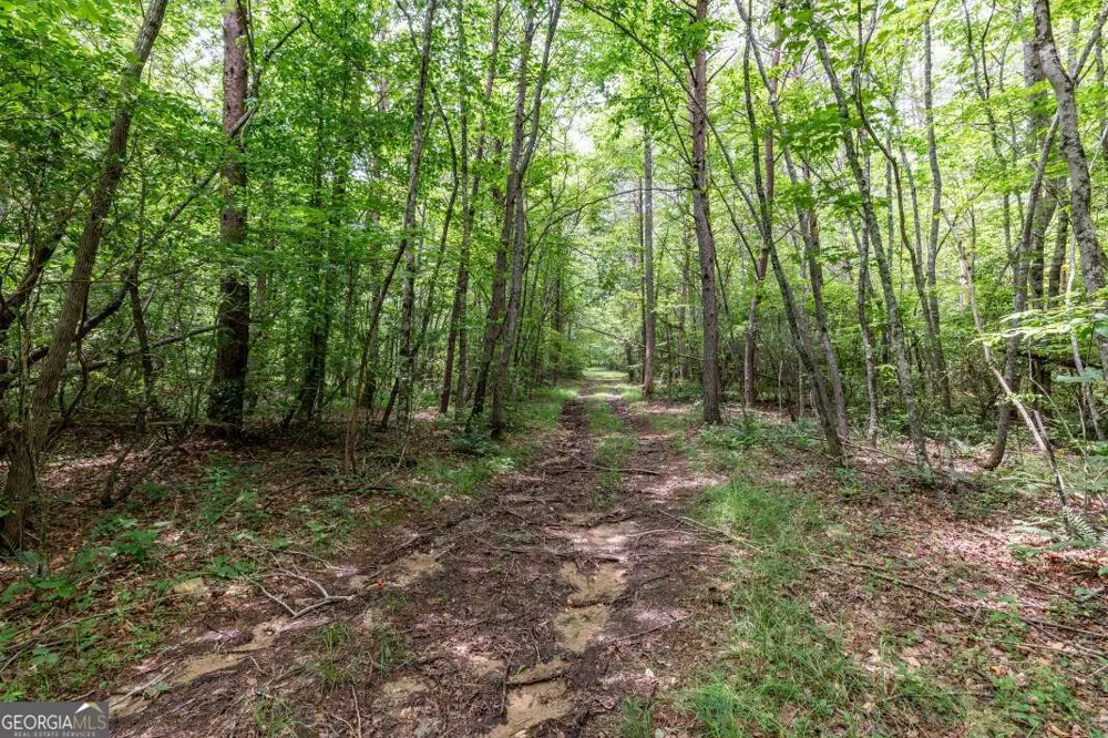 26.18 AC Green RD Young Harris, GA 30582