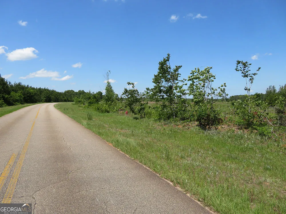 0 Goolsby RD Ellaville, GA 31806