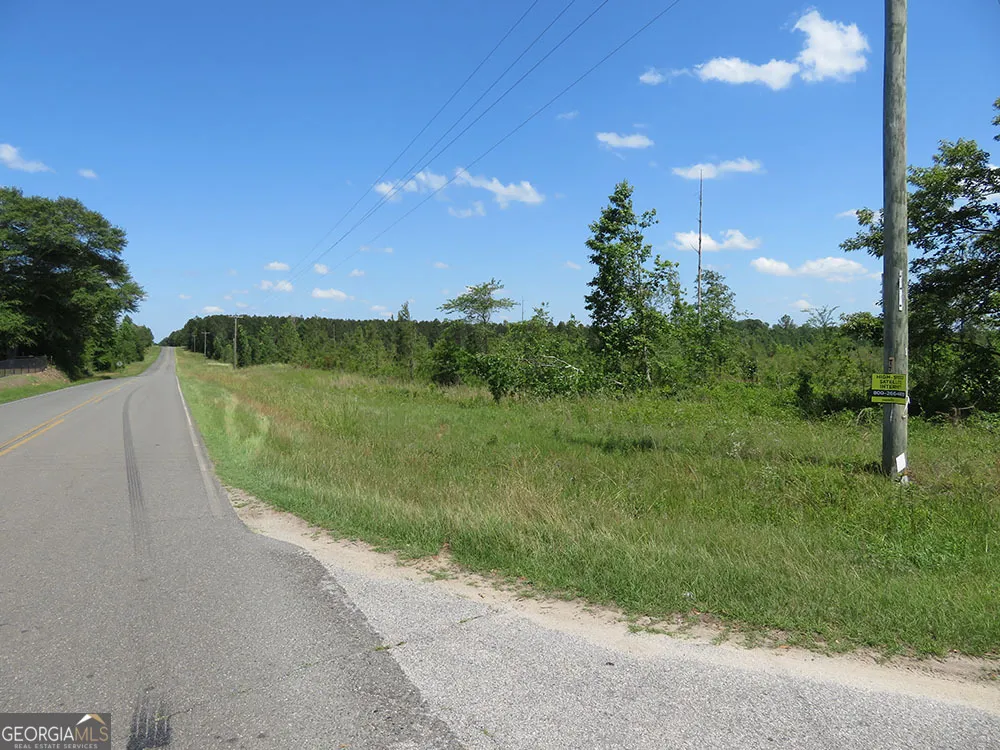 I 0 Ebenezer RD Ellaville, GA 31806
