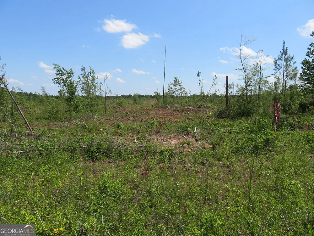 I 0 Ebenezer RD Ellaville, GA 31806