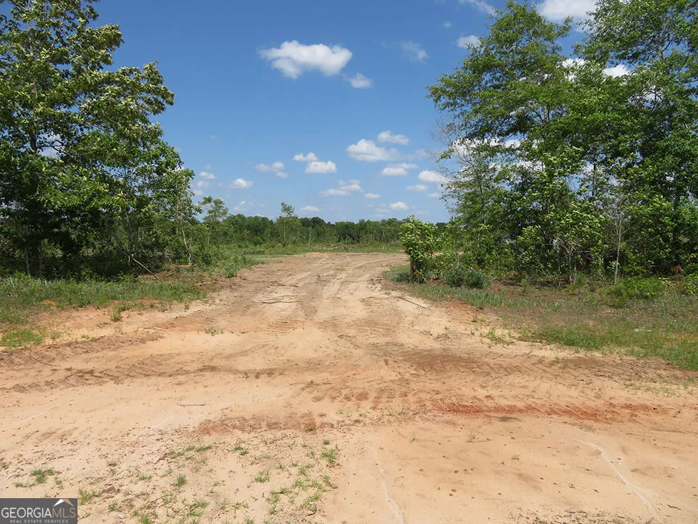 I 0 Ebenezer RD Ellaville, GA 31806