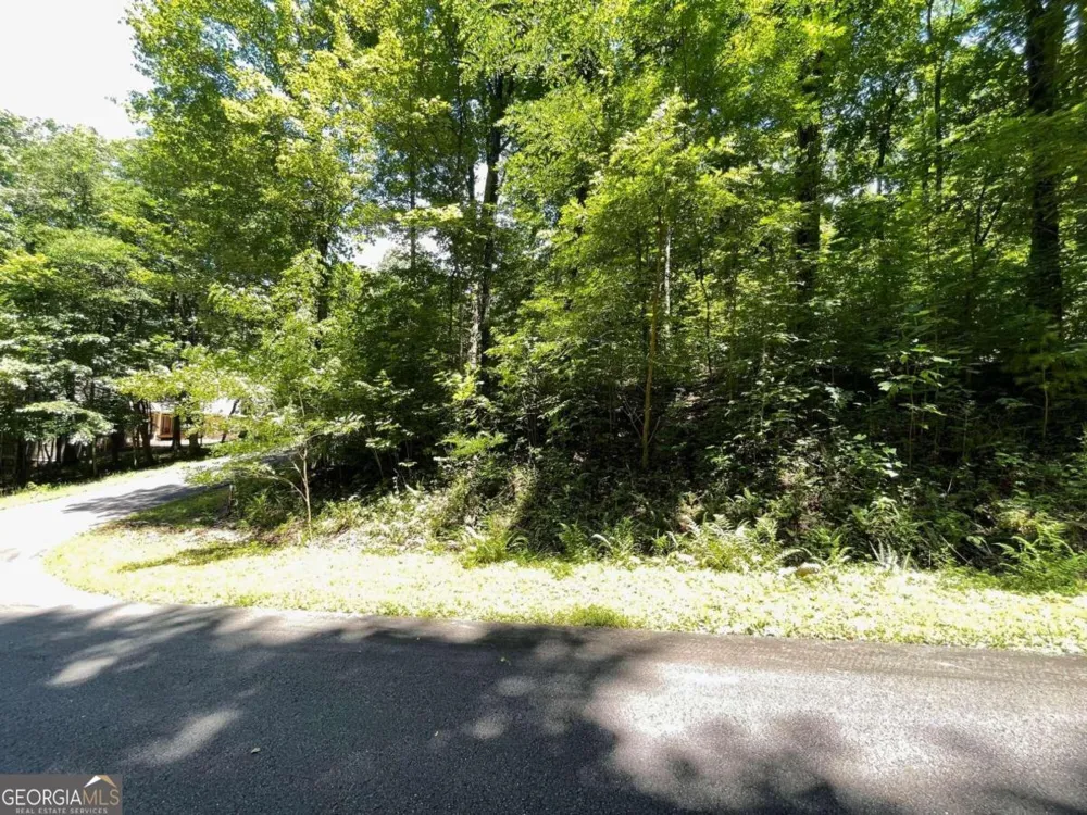 LOT 11 Fodder Creek Mill DR Hiawassee, GA 30546