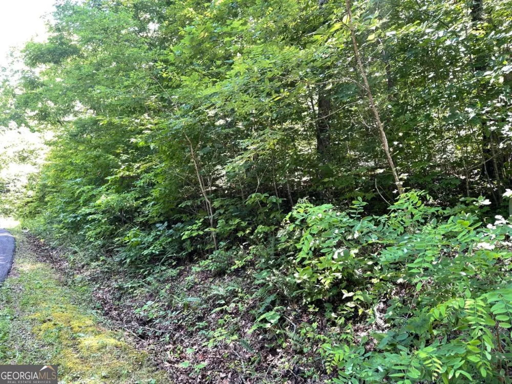 LOT 11 Fodder Creek Mill DR Hiawassee, GA 30546