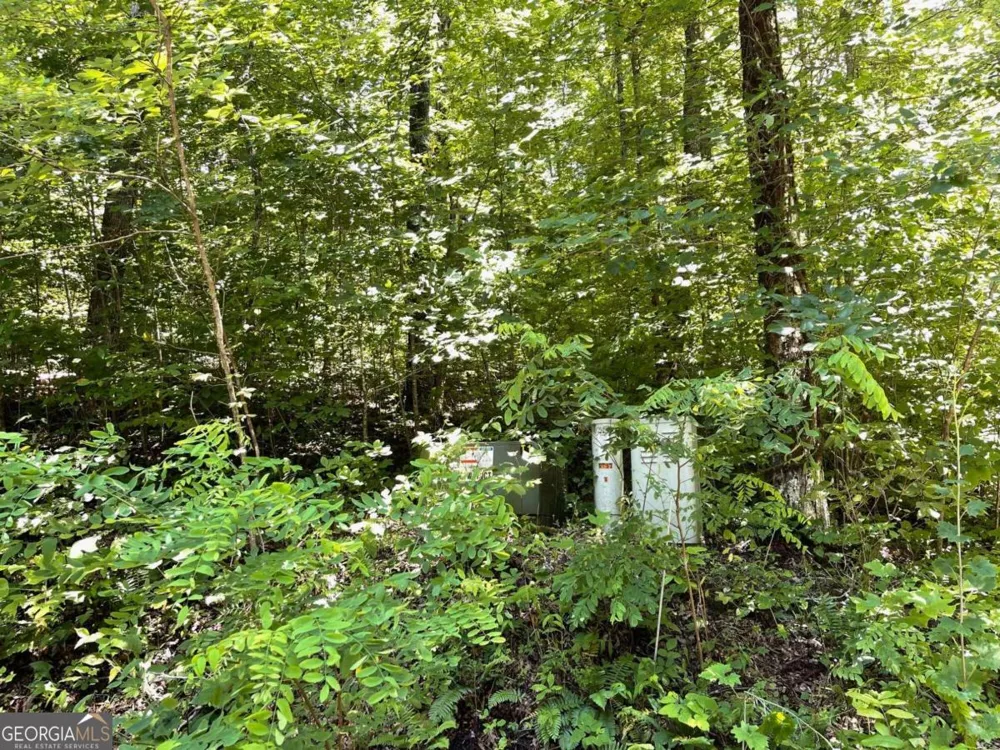 LOT 11 Fodder Creek Mill DR Hiawassee, GA 30546