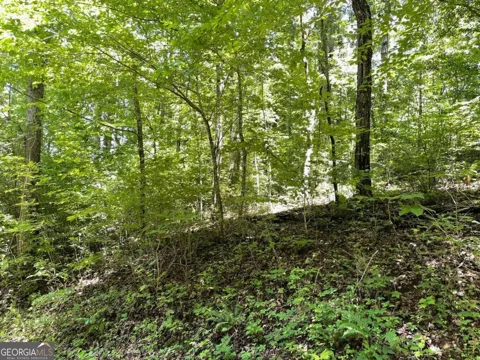 LOT 11 Fodder Creek Mill DR