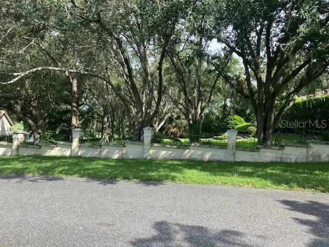 116 W MAGNOLIA AVENUE Howey In The Hills, FL 34737