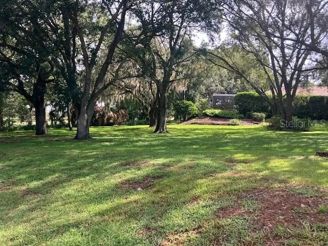 116 W MAGNOLIA AVENUE Howey In The Hills, FL 34737