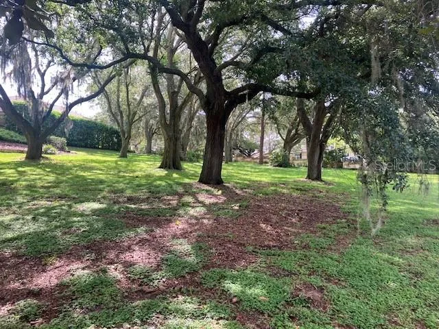 116 W MAGNOLIA AVENUE Howey In The Hills, FL 34737