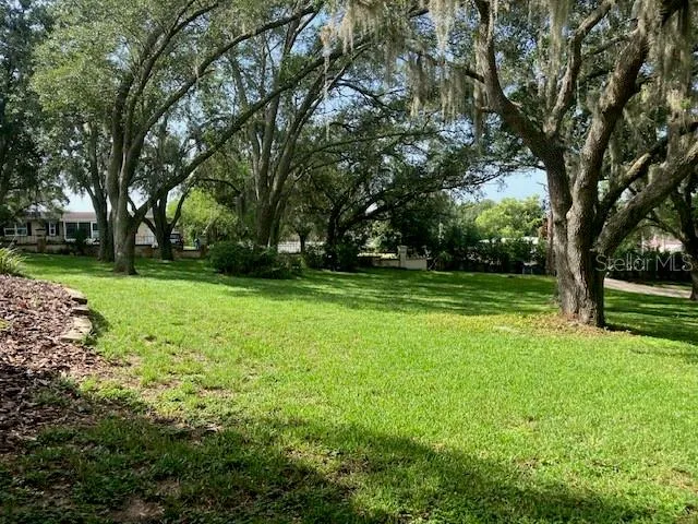 116 W MAGNOLIA AVENUE Howey In The Hills, FL 34737