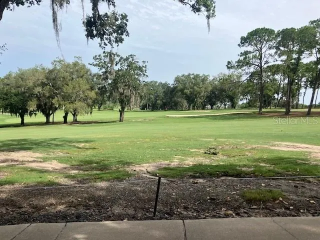 116 W MAGNOLIA AVENUE Howey In The Hills, FL 34737