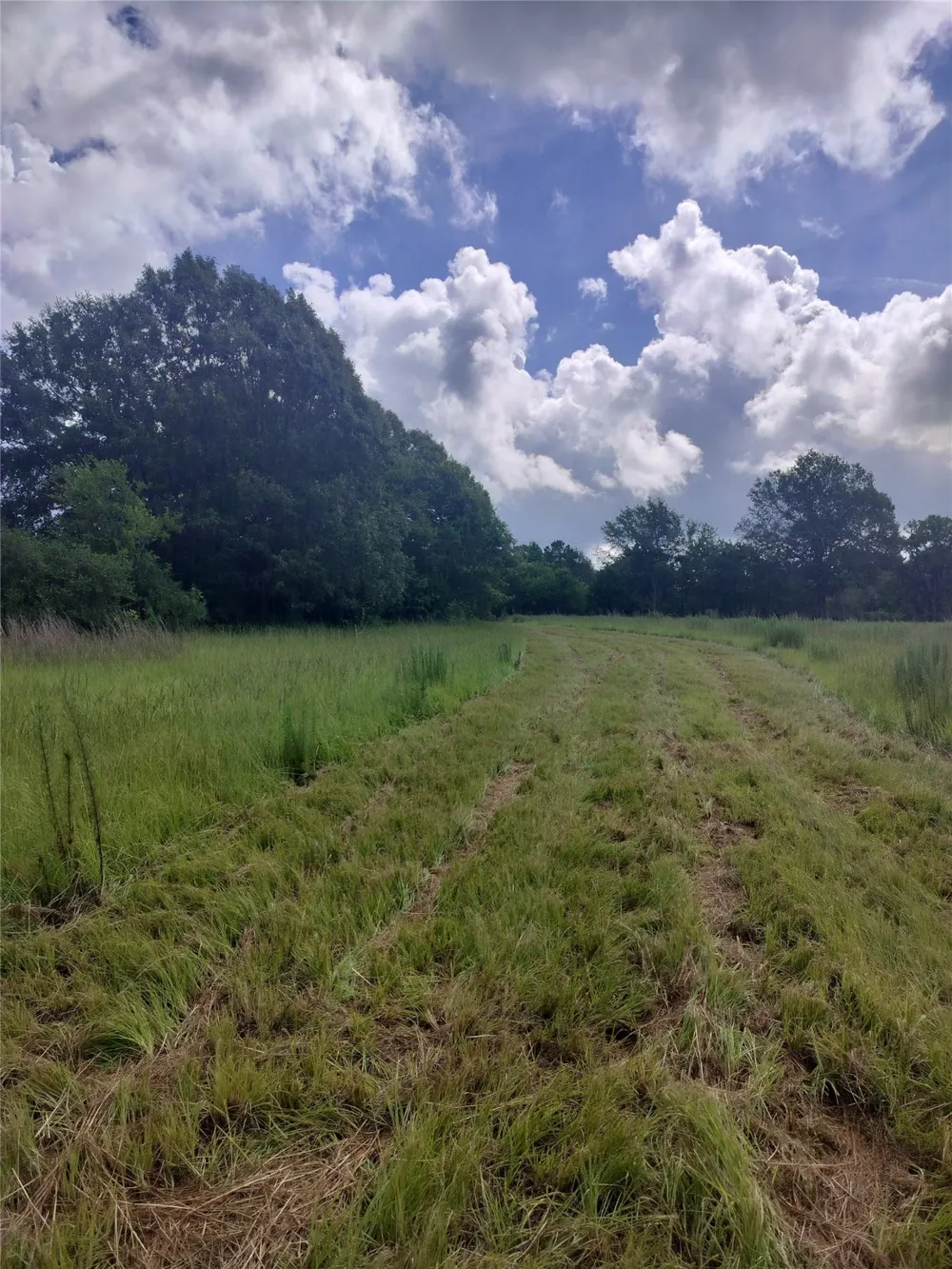 FCR 280 Oakwood, TX 75855