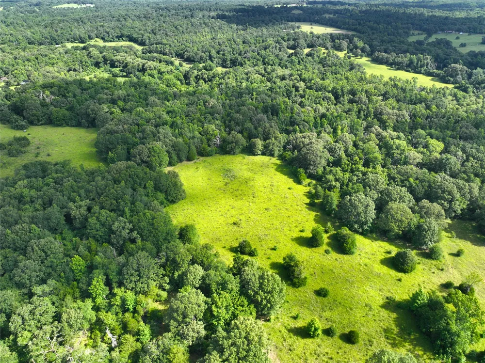 FCR 280 Oakwood, TX 75855