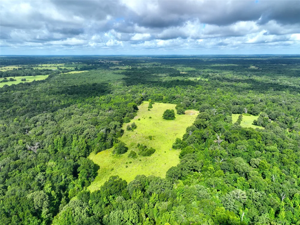 FCR 280 Oakwood, TX 75855