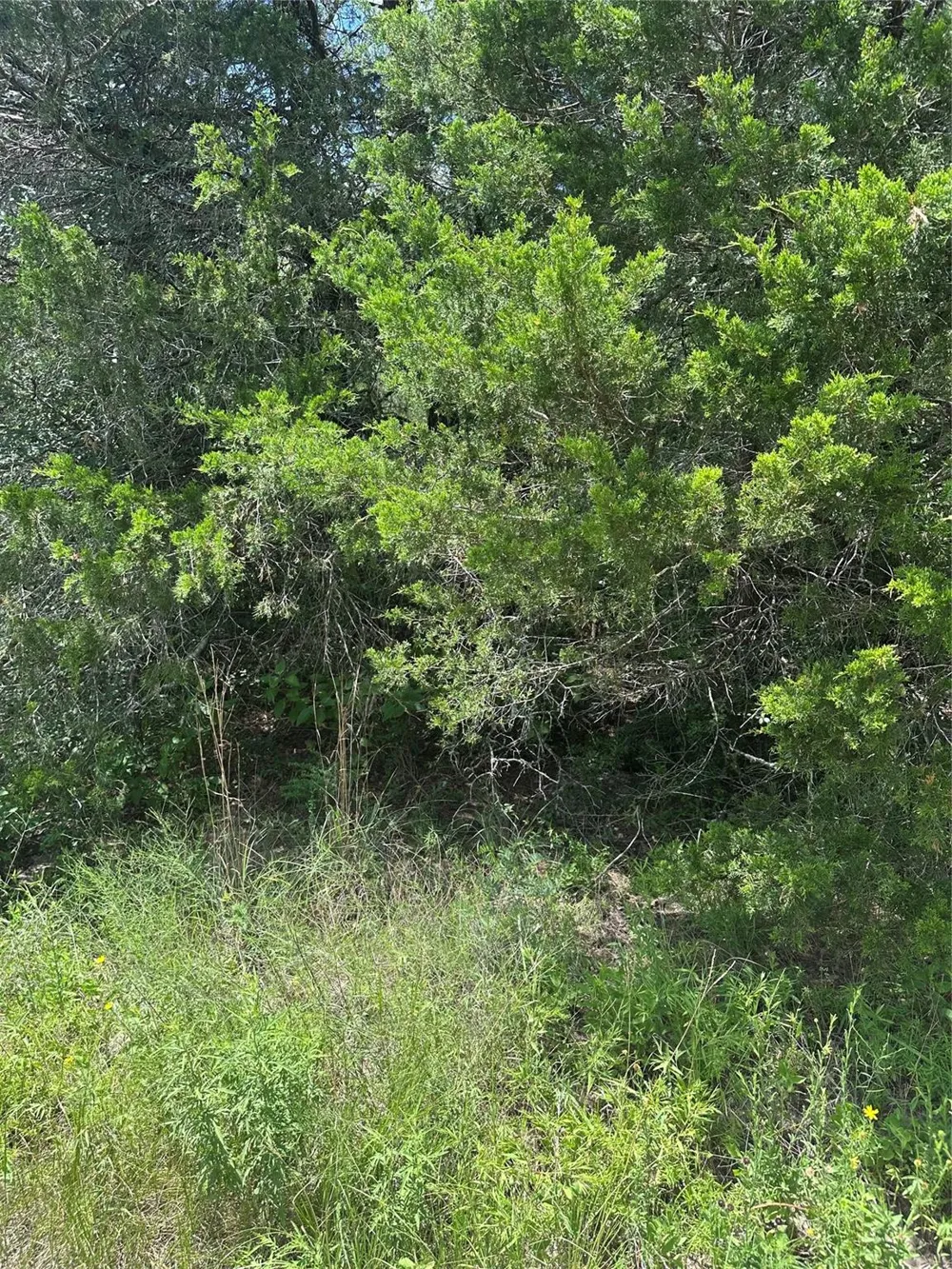 Chestnut Drive Caldwell, TX 77836