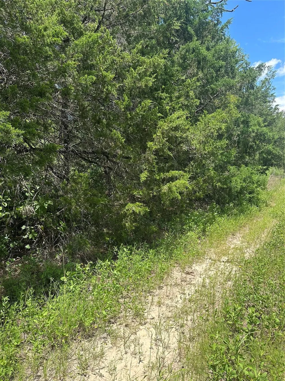 Chestnut Drive Caldwell, TX 77836