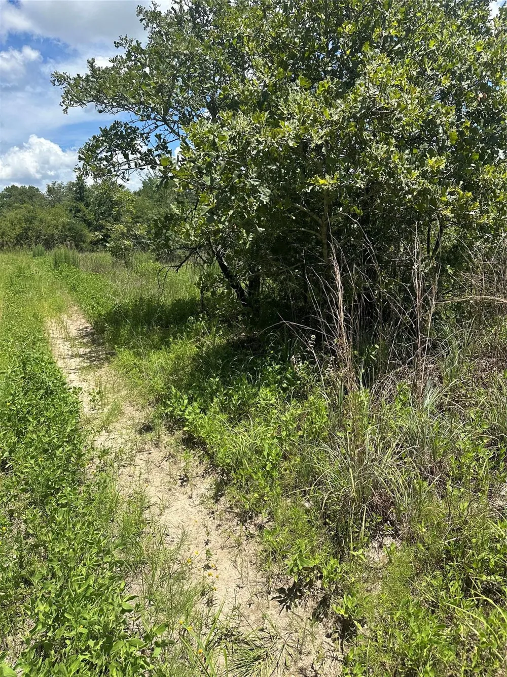 Chestnut Drive Caldwell, TX 77836