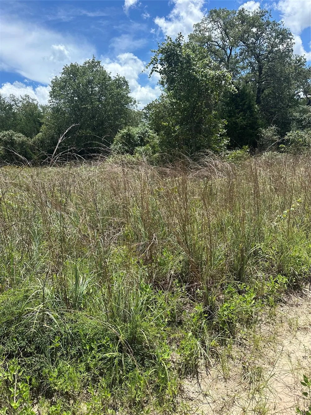 Chestnut Drive Caldwell, TX 77836