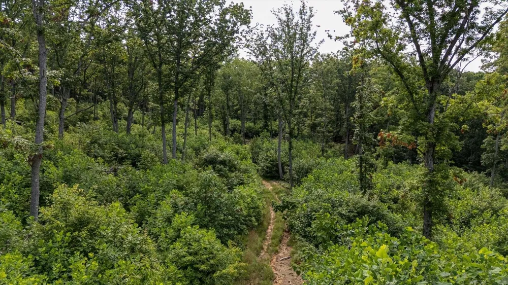 2148 Topside Drive Spencer, TN 38585