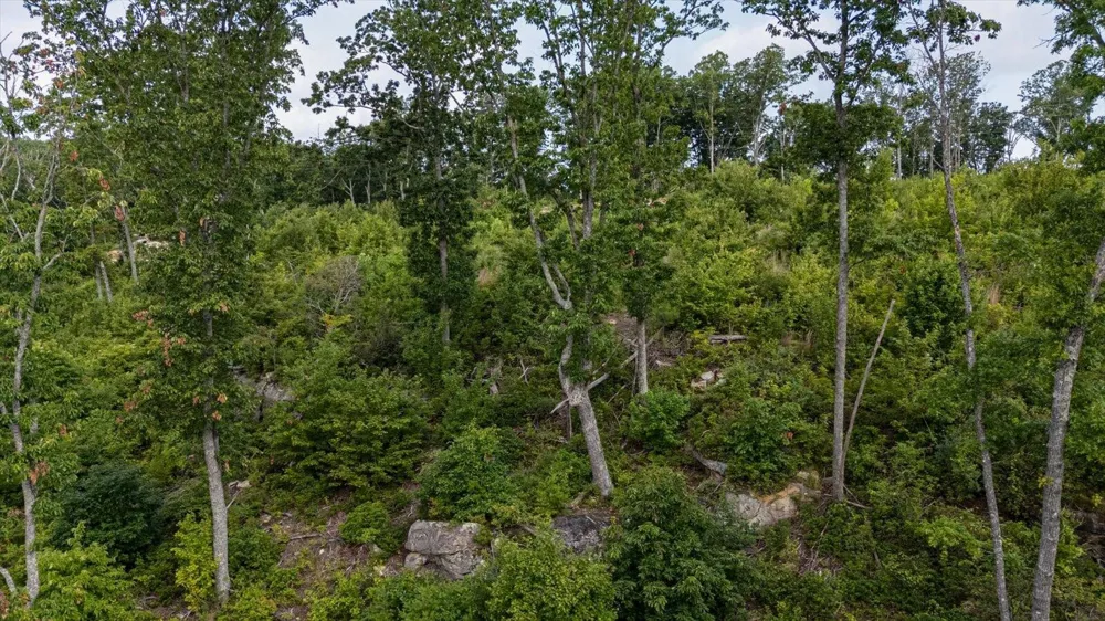 2148 Topside Drive Spencer, TN 38585