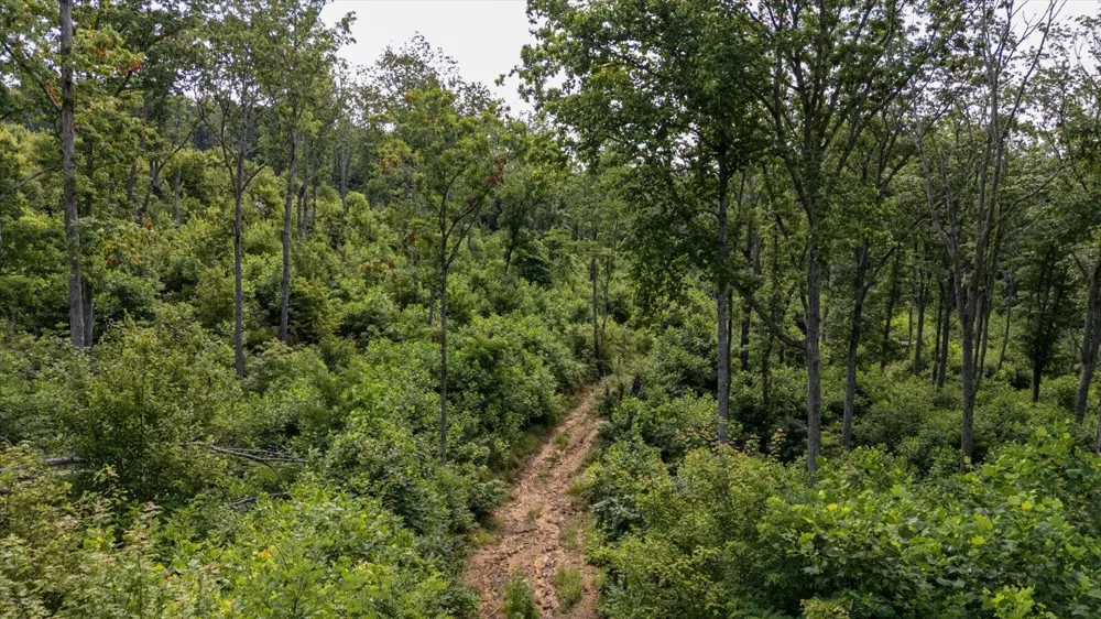 2148 Topside Drive Spencer, TN 38585