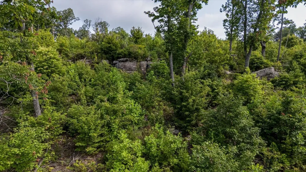 2148 Topside Drive Spencer, TN 38585