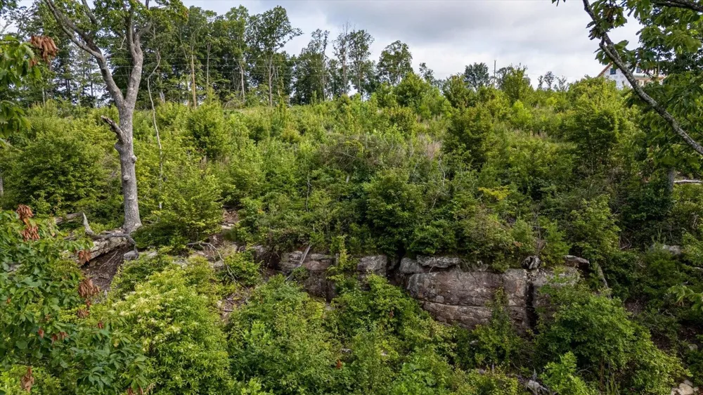 2148 Topside Drive Spencer, TN 38585