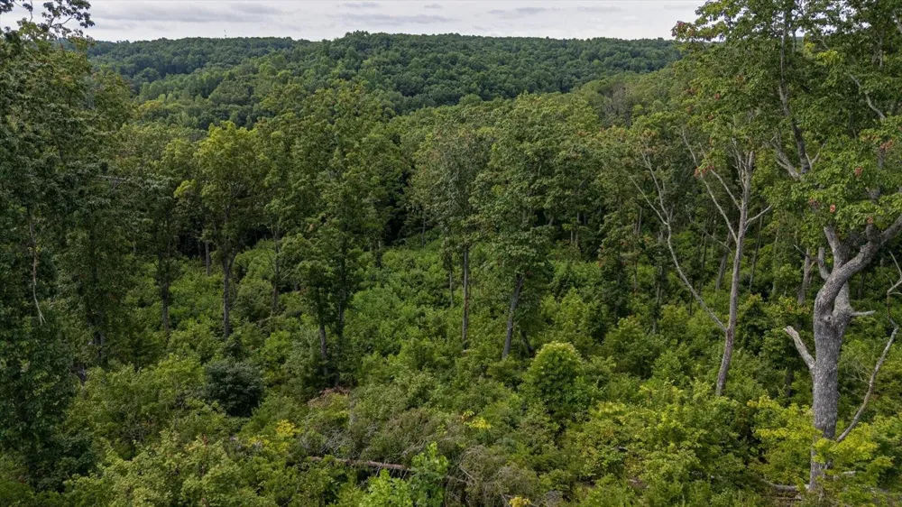 2148 Topside Drive Spencer, TN 38585