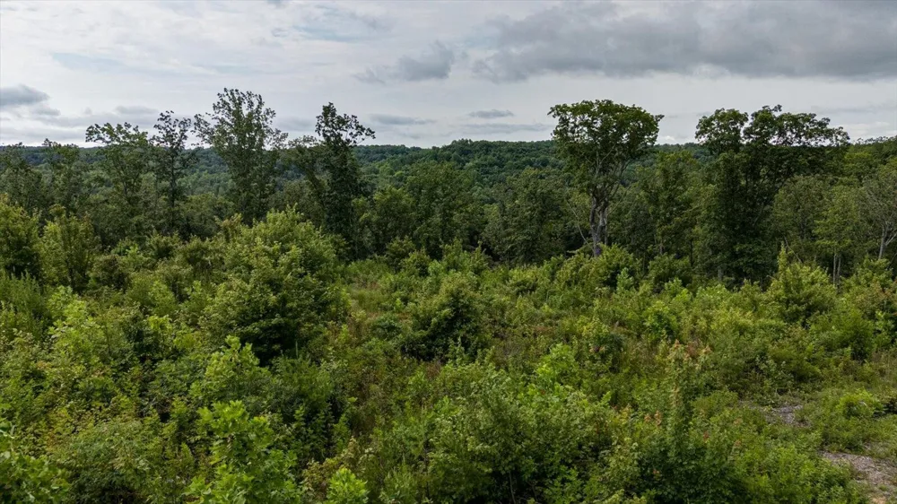 2148 Topside Drive Spencer, TN 38585