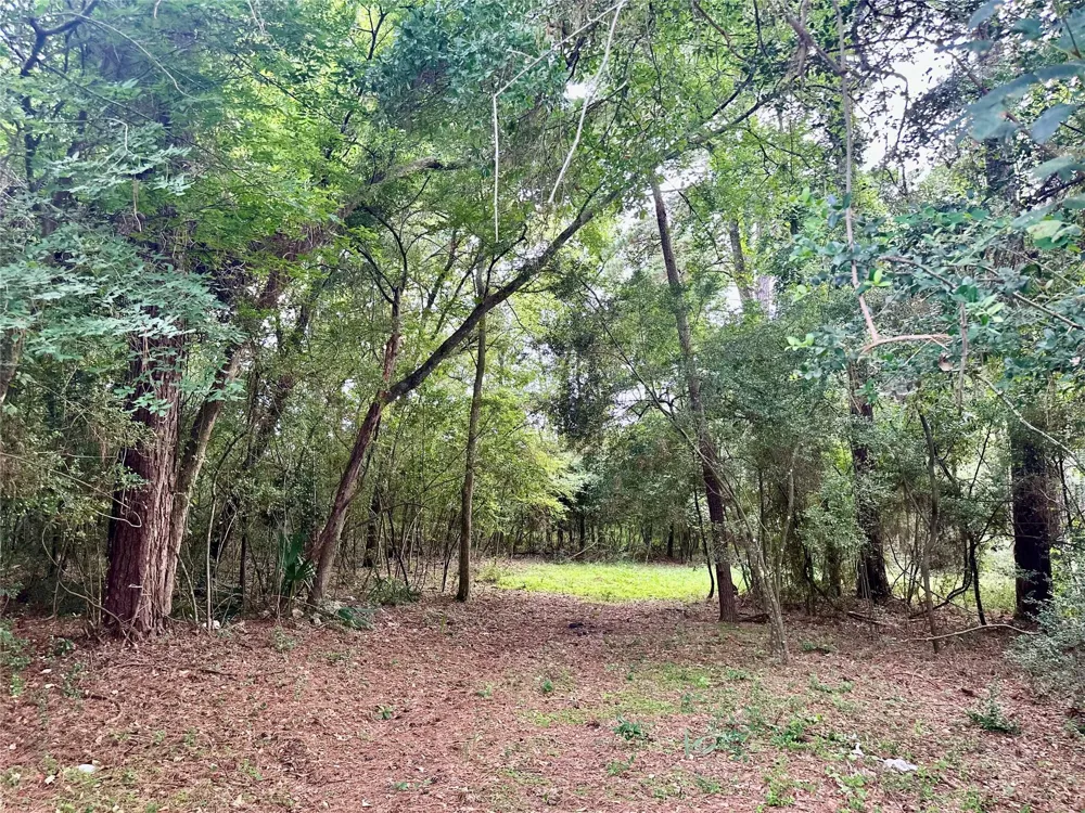 St Lawrence River Rd Conroe, TX 77316