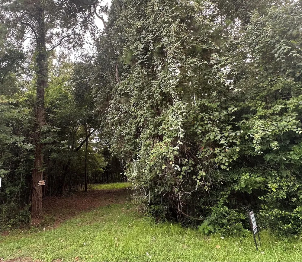St Lawrence River Rd Conroe, TX 77316