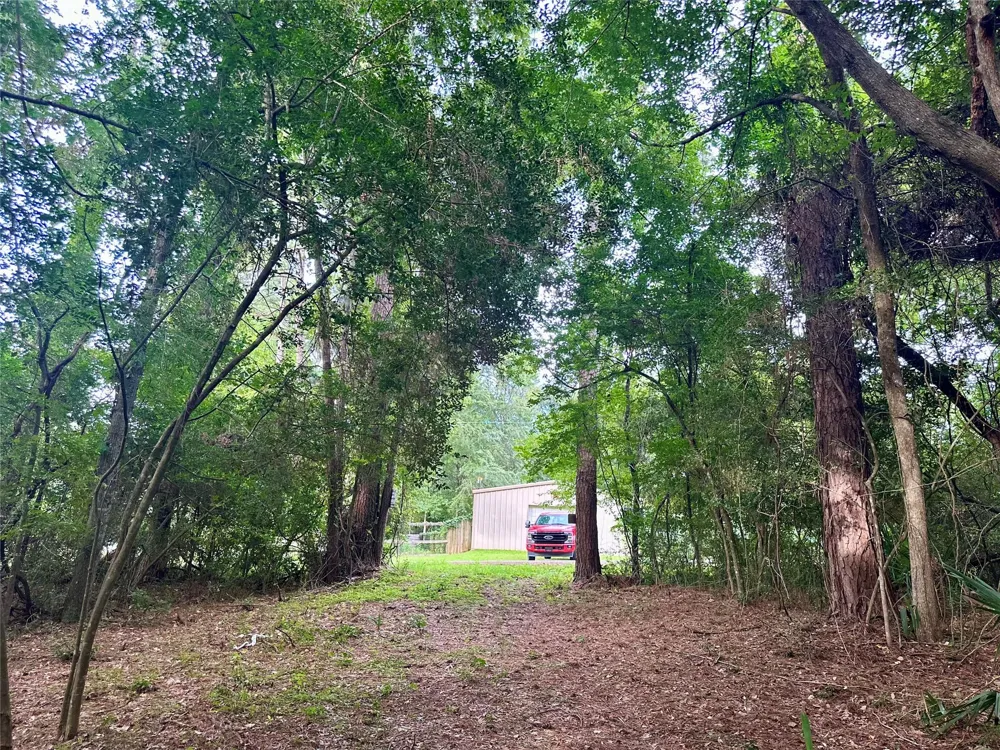 St Lawrence River Rd Conroe, TX 77316