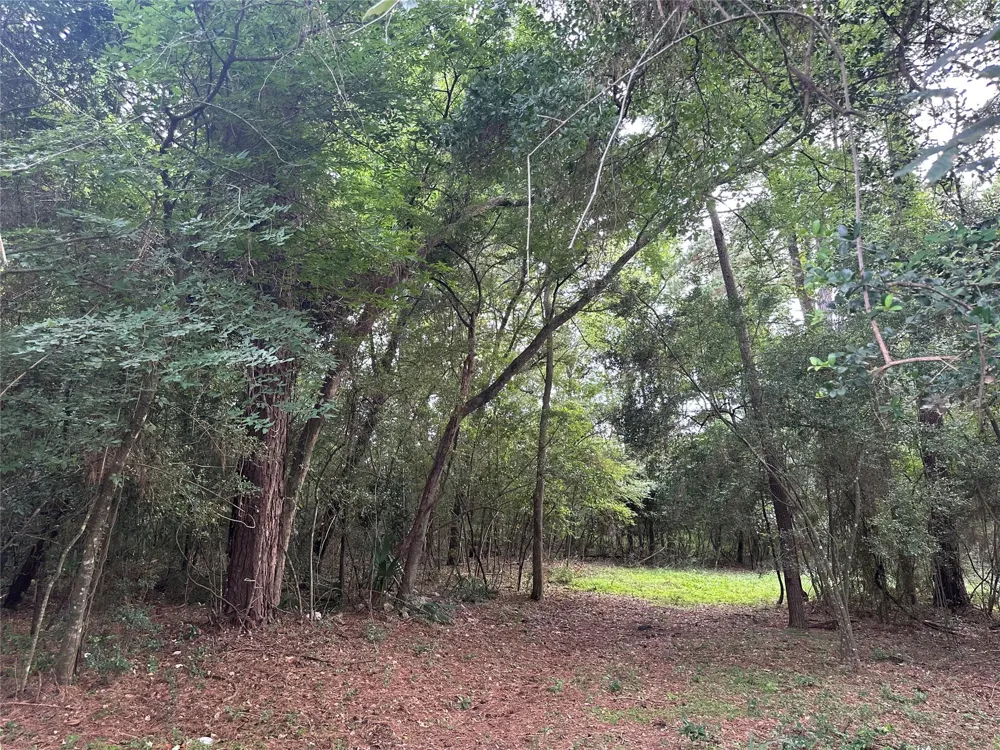 St Lawrence River Rd Conroe, TX 77316
