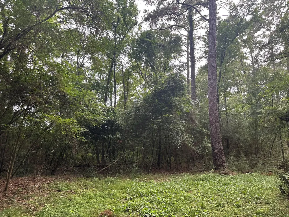St Lawrence River Rd Conroe, TX 77316
