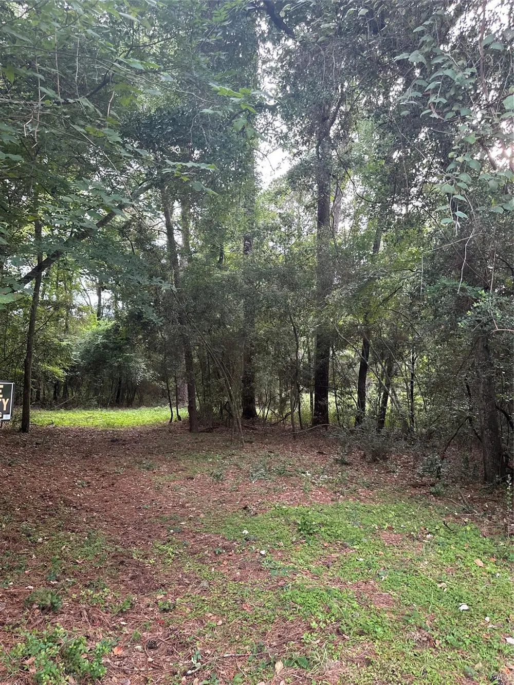 St Lawrence River Rd Conroe, TX 77316
