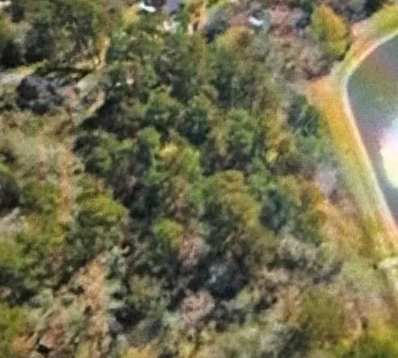 St Lawrence River Rd Conroe, TX 77316