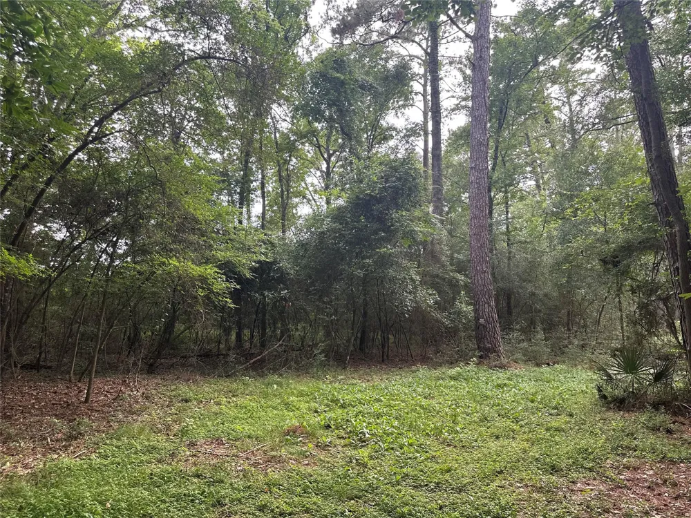 St Lawrence River Rd Conroe, TX 77316