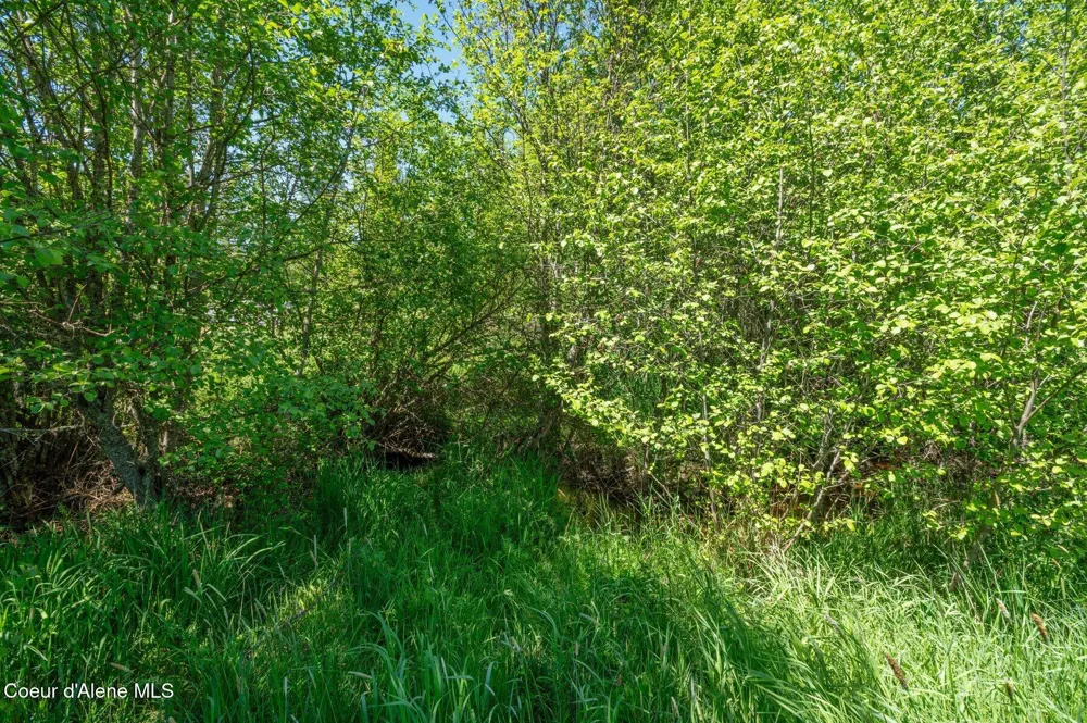 2902 Jewel Lake Road, Lot 2 Sagle, ID 83860