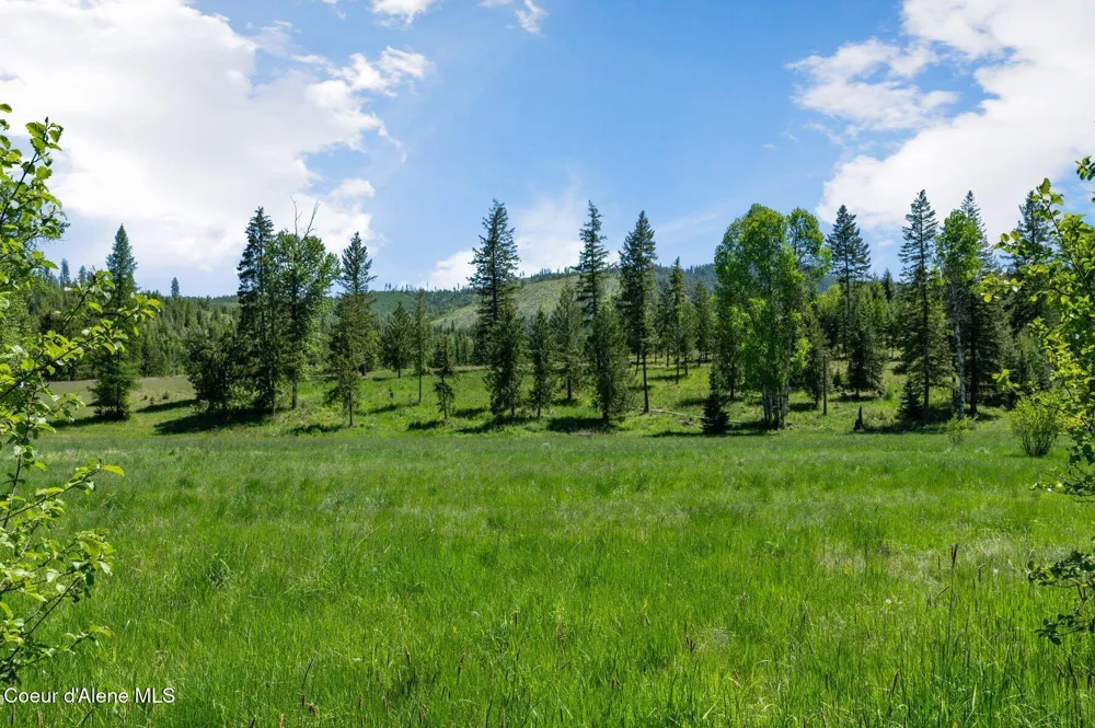 2902 Jewel Lake Road, Lot 2 Sagle, ID 83860