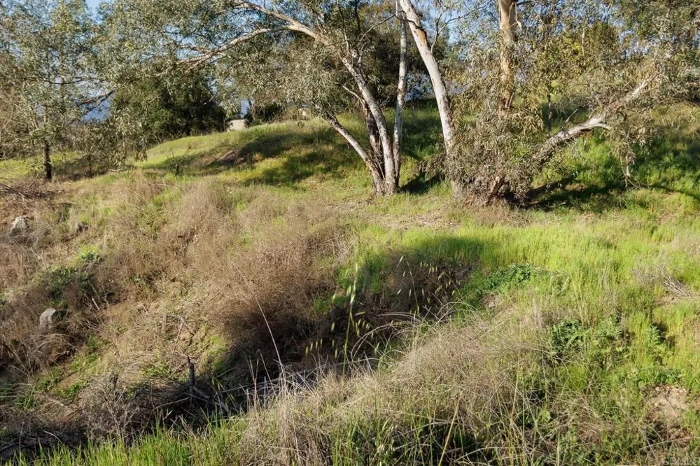 McNally Road Valley Center, CA 92082