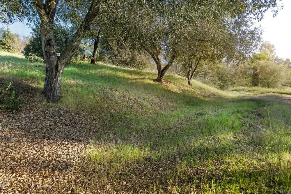 McNally Road Valley Center, CA 92082