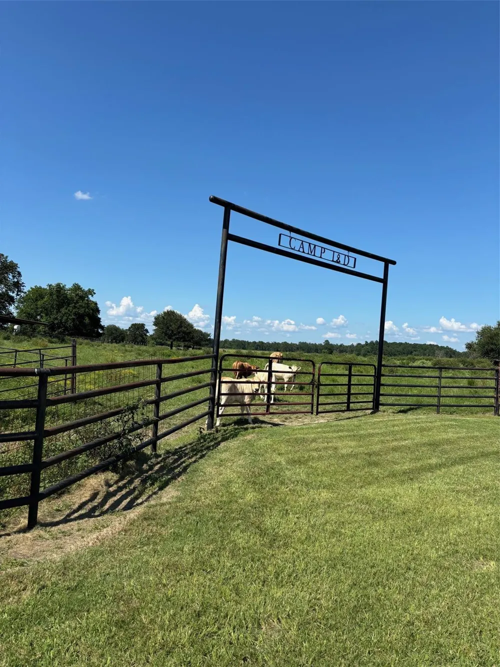 585 Industrial Park Boulevard Trinity, TX 75862