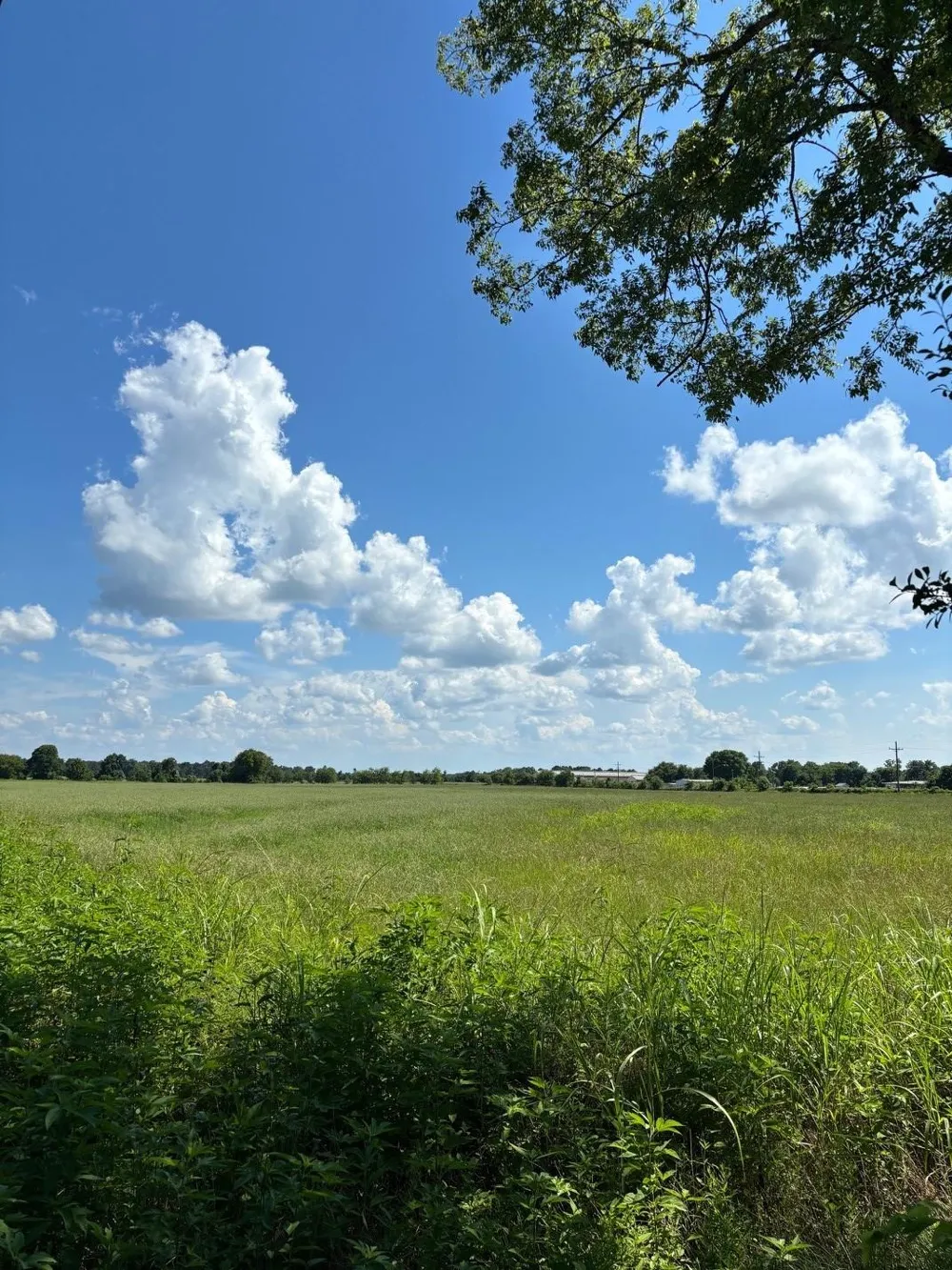 585 Industrial Park Boulevard Trinity, TX 75862
