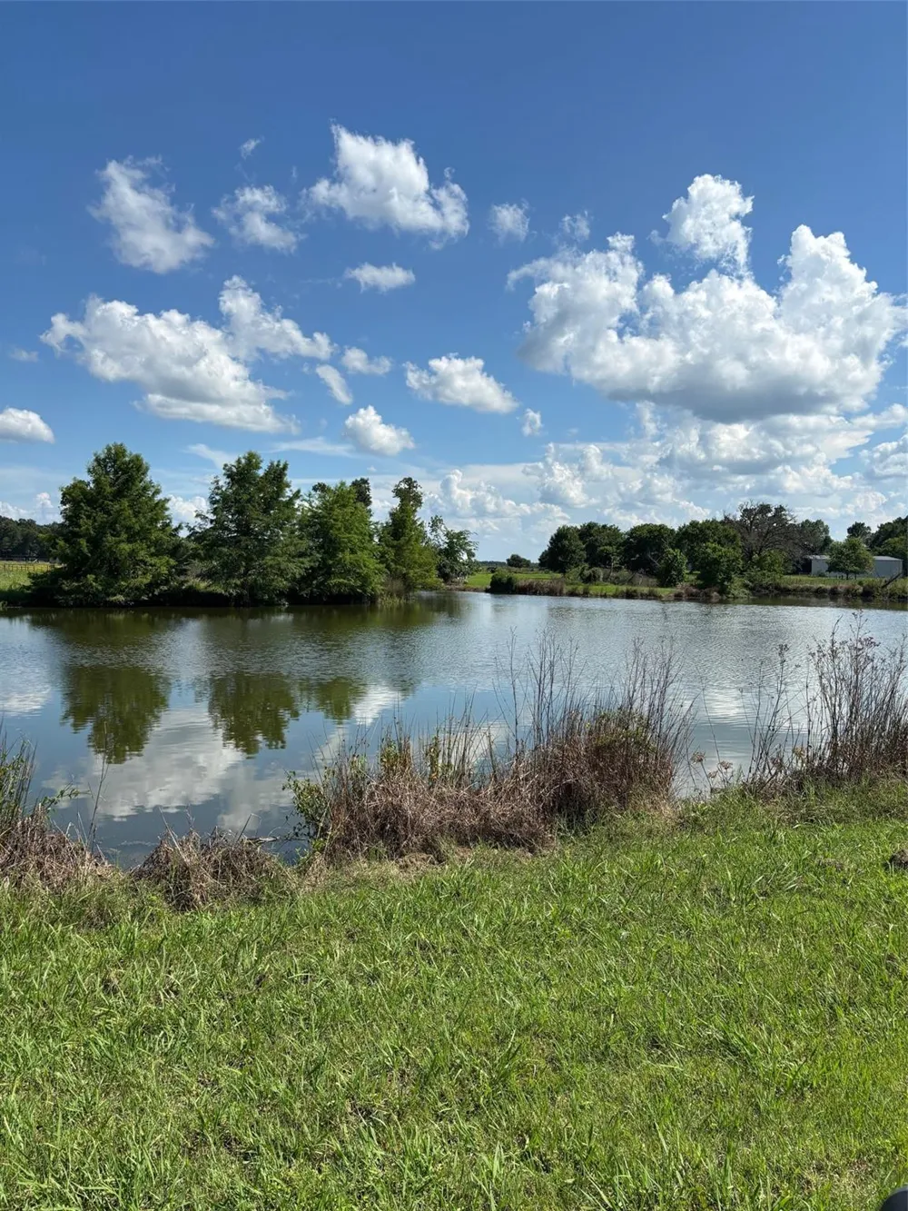 585 Industrial Park Boulevard Trinity, TX 75862